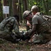 Exercise Eastern Nexus