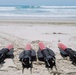15th MEU Conducts Autonomous Underwater Vehicles Familiarization