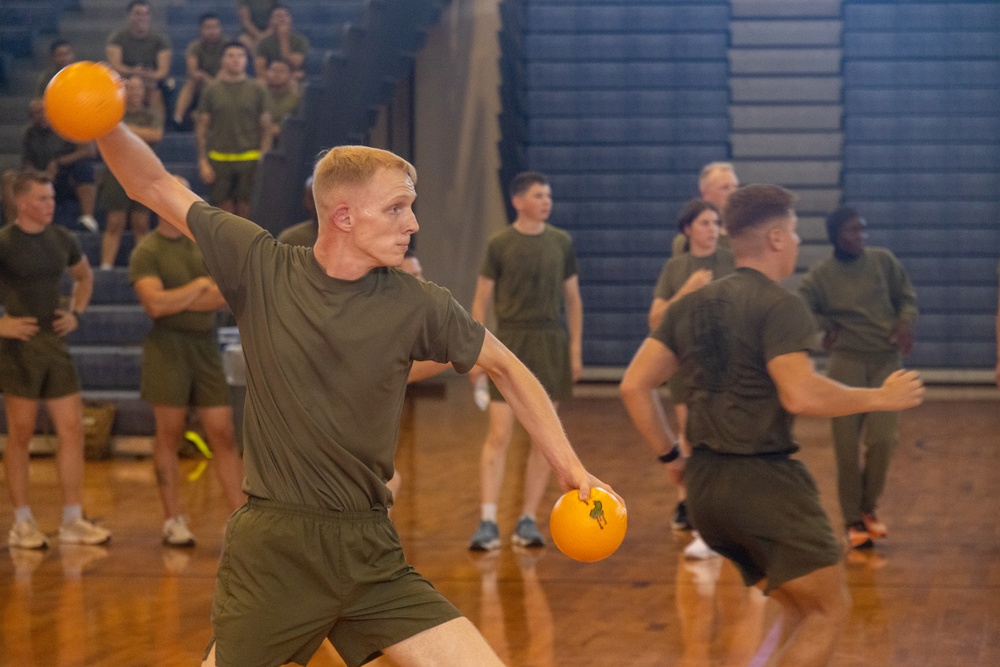CLR-37 Conducts Regimental Run, Dodgeball Event