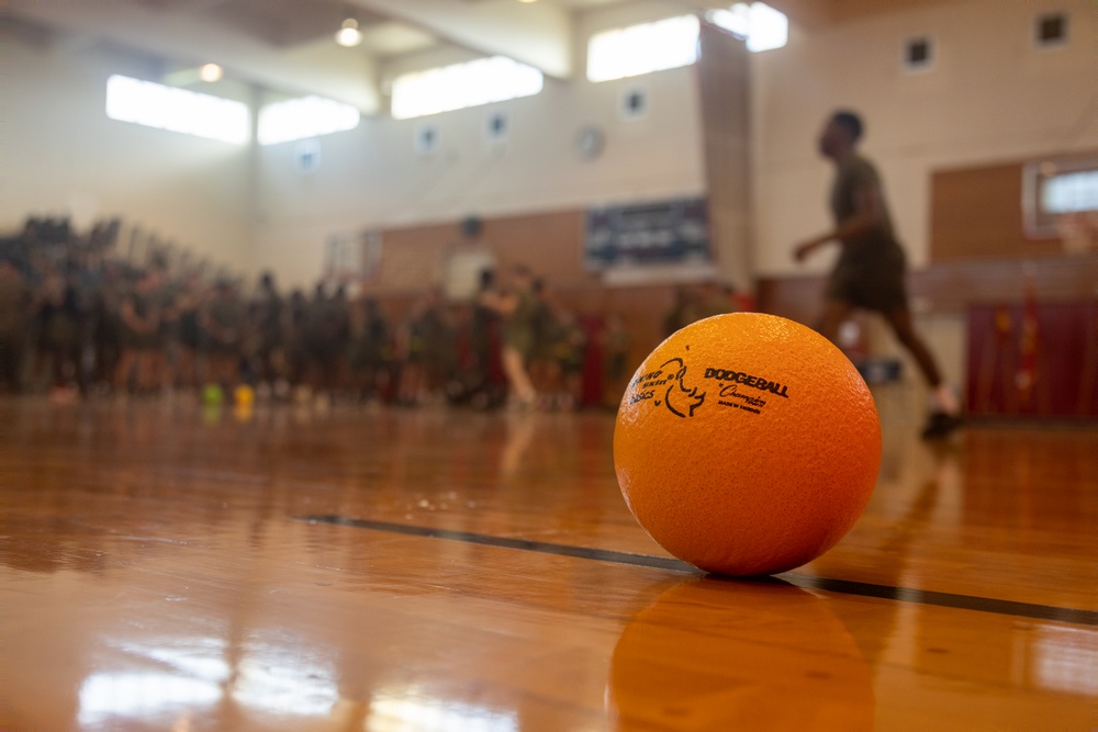 CLR-37 Conducts Regimental Run, Dodgeball Event