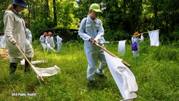 Inaugural Bug Camp brings real-world science to young students at Aberdeen Proving Ground