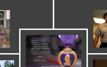 A distinction like no one - Purple Heart Recognition Day in Navy Medicine