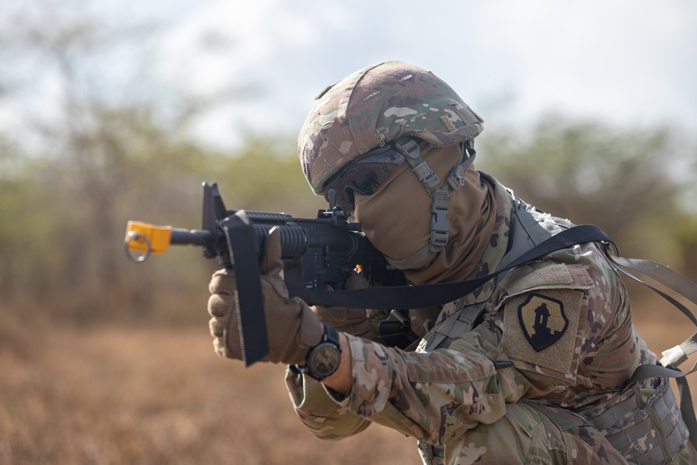 Soldier looks for enemy contact