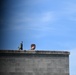 172nd SFS Conduct Training