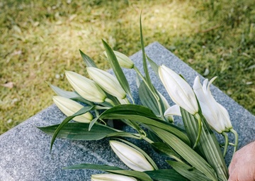 How a Death in the Family May Affect Your TRICARE Coverage