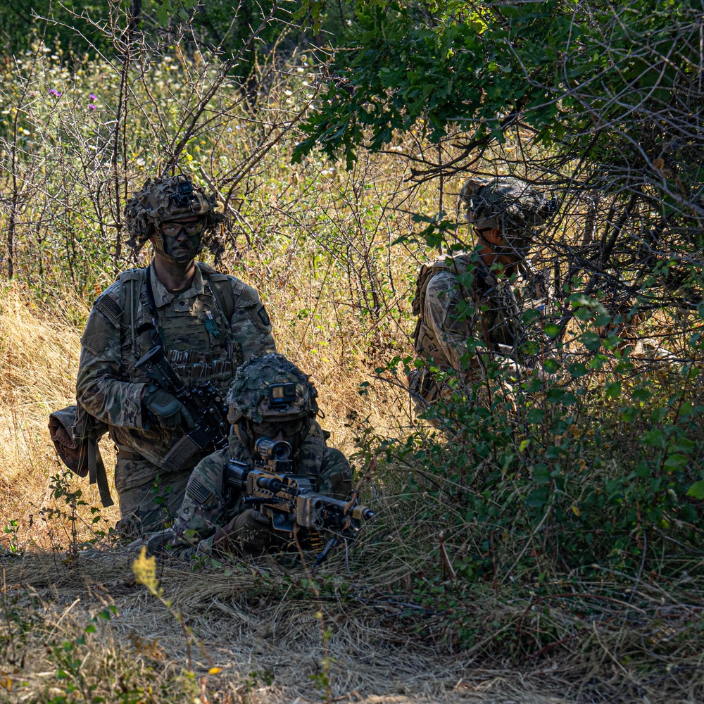 Charlie Company, 2nd Battalion, 502nd Infantry Regiment, CALFX at Novo Selo Training Area, Bulgaria