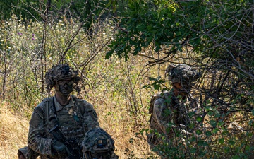 Charlie Company, 2nd Battalion, 502nd Infantry Regiment, CALFX at Novo Selo Training Area, Bulgaria