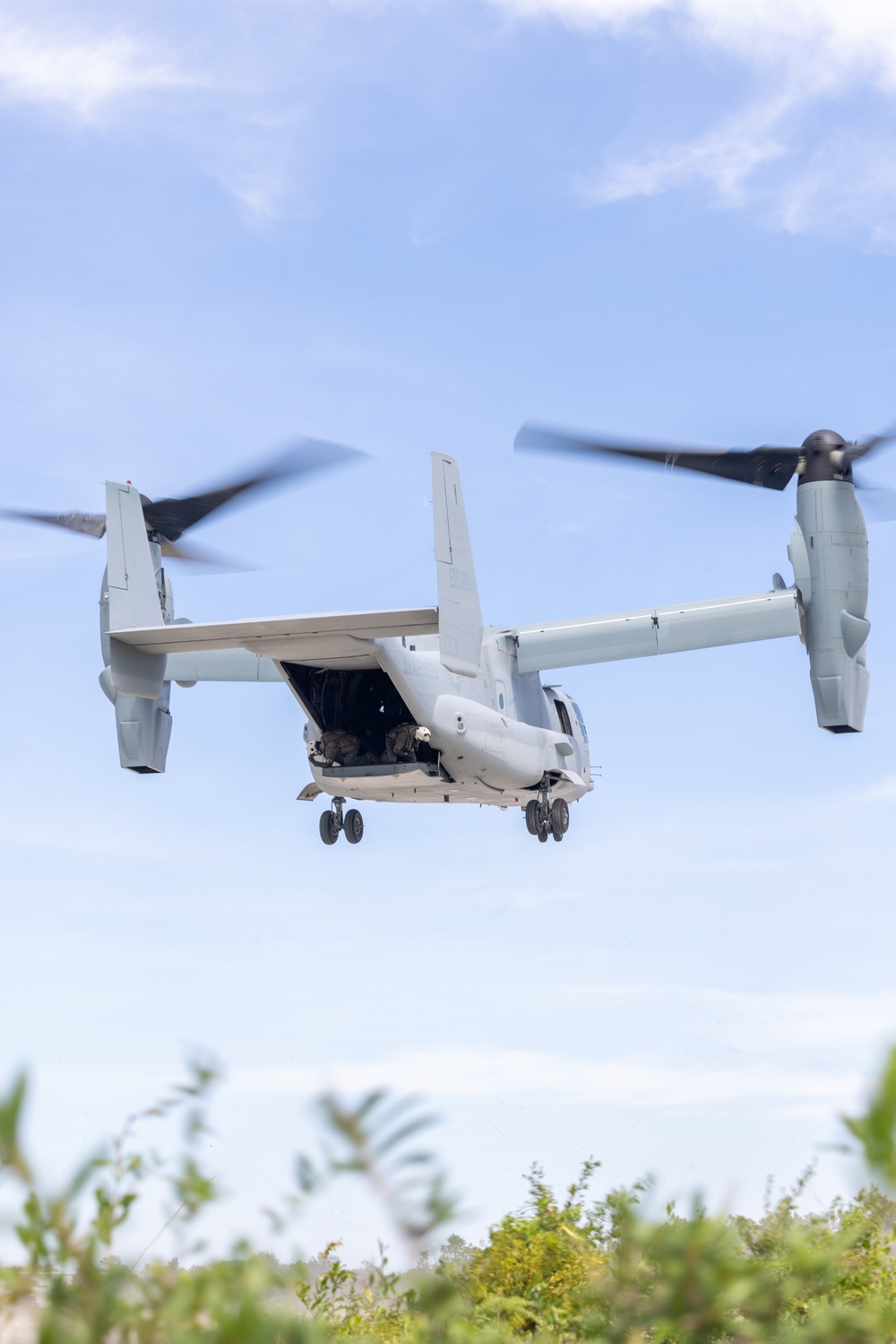 Burmese Chase 2025 at MCOLF Atlantic