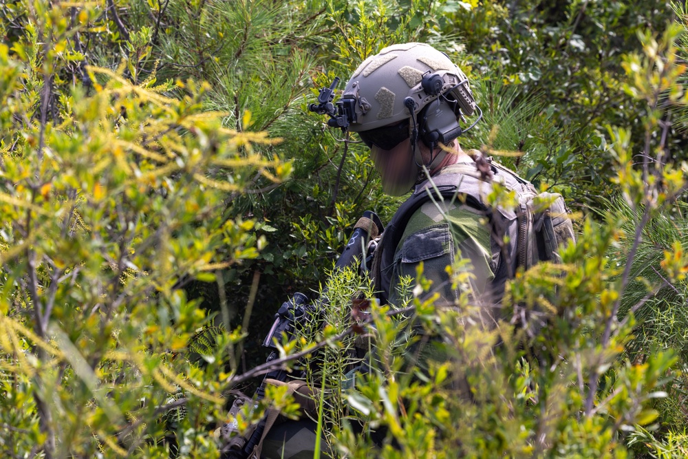 Burmese Chase 2025 at MCOLF Atlantic