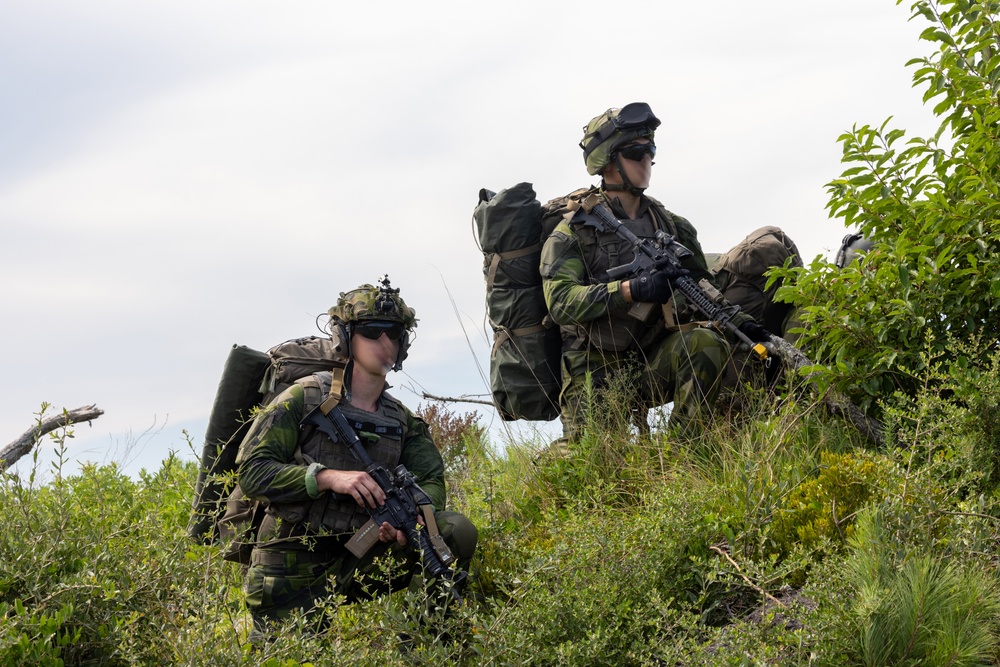 Burmese Chase 2025 at MCOLF Atlantic
