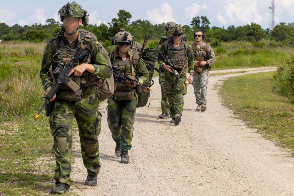 Burmese Chase 2025 at MCOLF Atlantic