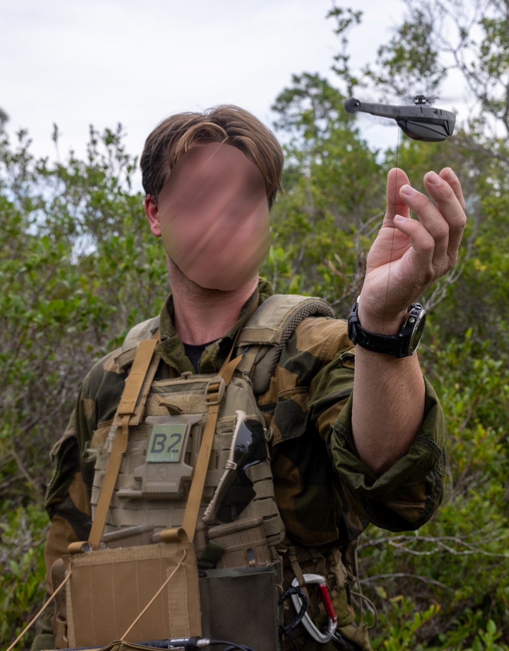 Burmese Chase 2025 at MCOLF Atlantic