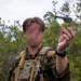 Burmese Chase 2025 at MCOLF Atlantic