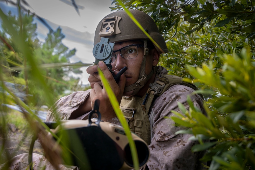 4th ANGLICO &amp; NATO Allies Conduct Close Air Support Training During Burmese Chase 25