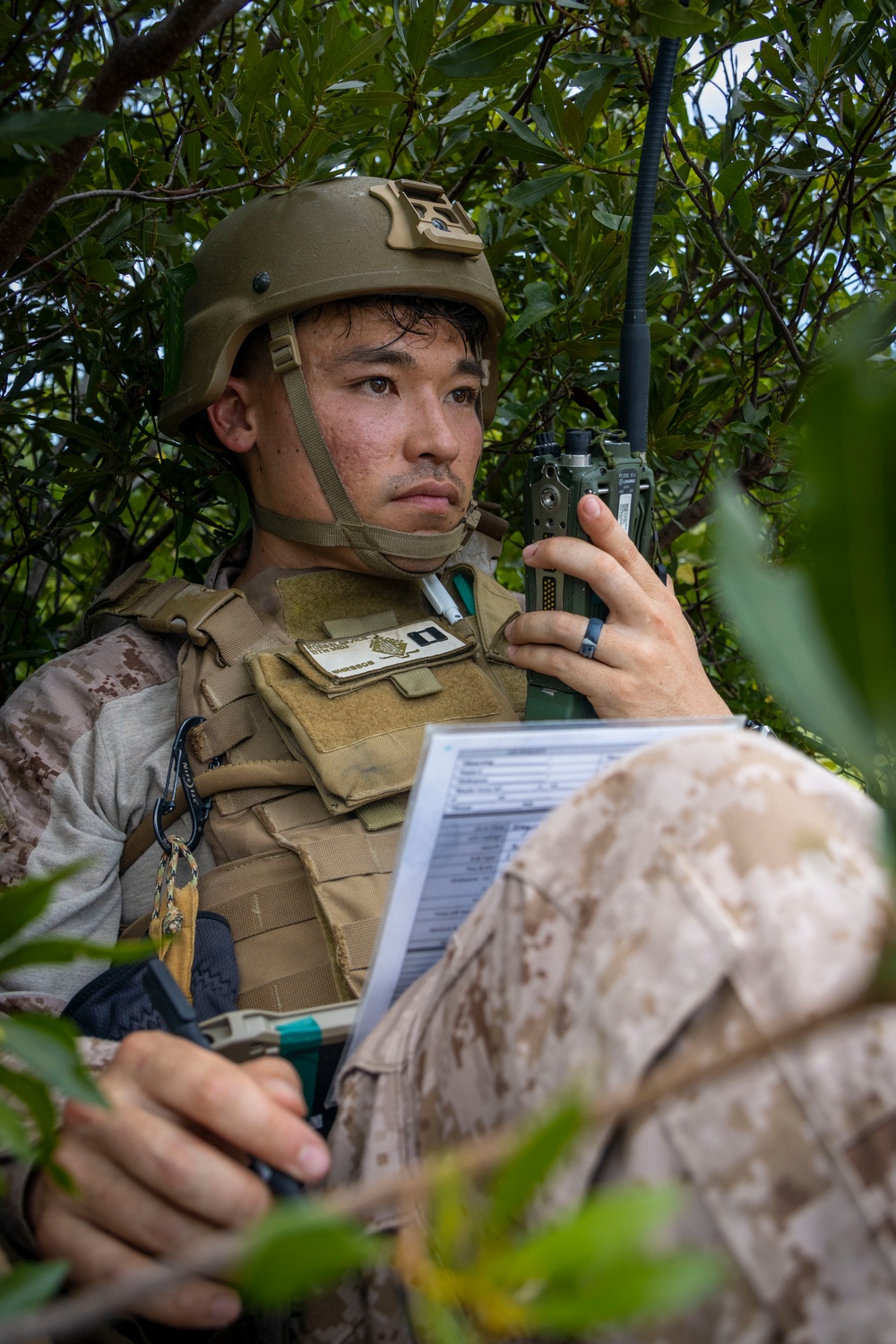 4th ANGLICO &amp; NATO Allies Conduct Close Air Support Training During Burmese Chase 25