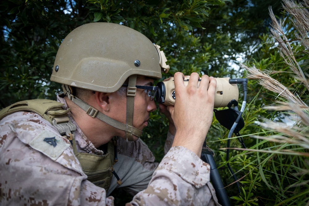 4th ANGLICO &amp; NATO Allies Conduct Close Air Support Training During Burmese Chase 25