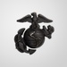 Modern Era Marine Corps Enlisted Service EGA