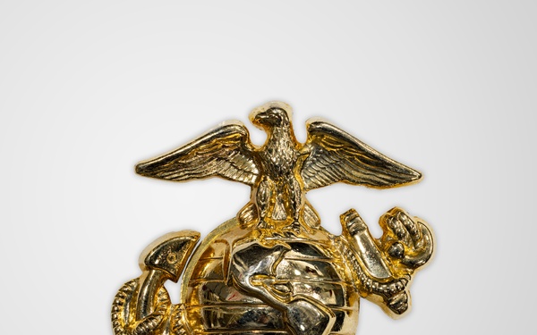 Modern Era Marine Corps Enlisted Dress EGA