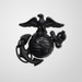 Modern Era Marine Corps Officer Service EGA