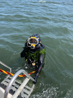 ERDC divers essential to underwater research