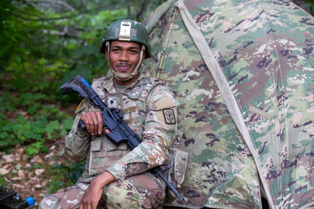 Air Defense Soldiers Secure the Skies During Northern Strike Exercise