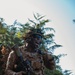 173rd Conducts Platoon Live Fire Exercise in Croatia