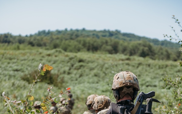 173rd Conducts Platoon Live Fire Exercise in Croatia