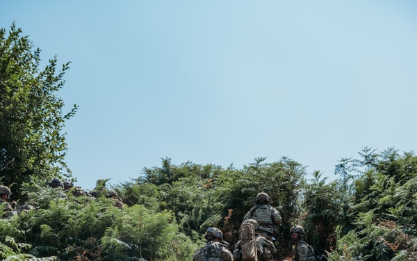 173rd Conducts Platoon Live Fire Exercise in Croatia