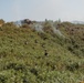 173rd Conducts Platoon Live Fire Exercise in Croatia