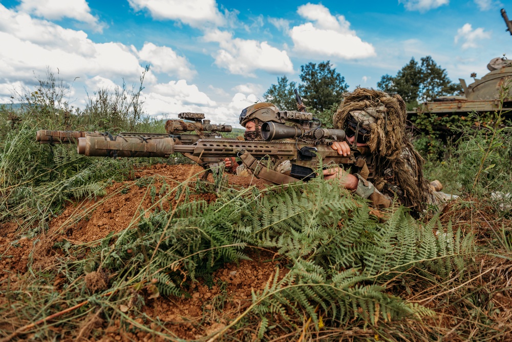 173rd Conducts Multi-Functional Team Live Fire Exercise in Croatia