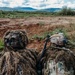 173rd Conducts Multi-Functional Team Live Fire Exercise in Croatia