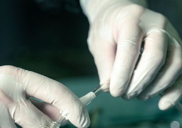 Special Operations Surgical Team performs simulated surgery during Emerald Warrior 25.2