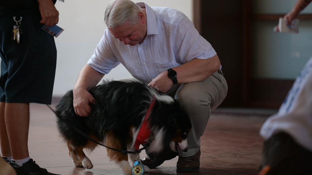 American Red Cross hosts Animal Visitation Program meet, greet