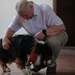 American Red Cross hosts Animal Visitation Program meet, greet