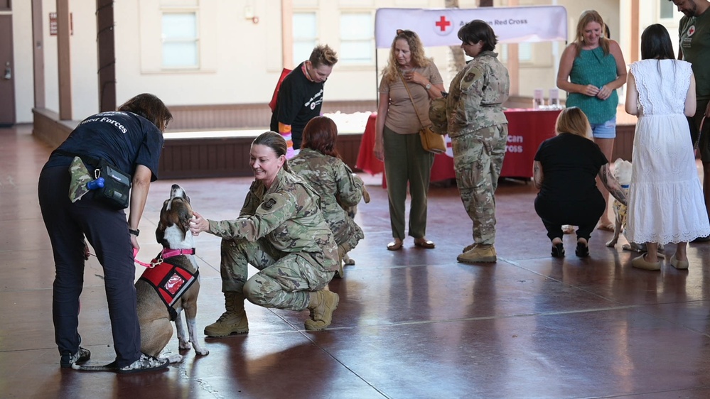 American Red Cross hosts Animal Visitation Program meet, greet