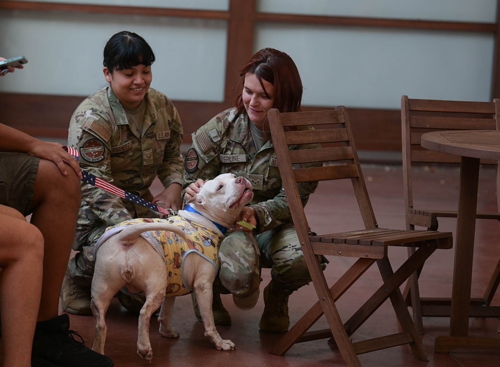 American Red Cross hosts Animal Visitation Program meet, greet