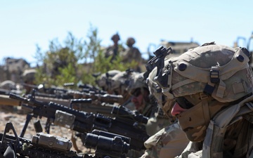 FLARNG Soldiers conduct live-fire training at NTC