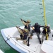 U.S. Special Operations Forces Train with Panamanian Security Forces During PANAMAX-Alpha 2025