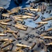 Boxer Live-fire Exercise