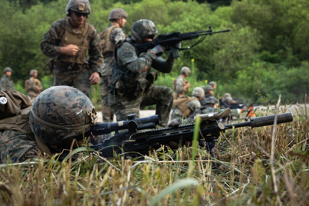 2/23 Marines and ROK Marines Conduct Reaction to Contact Drills during KMEP 25.2