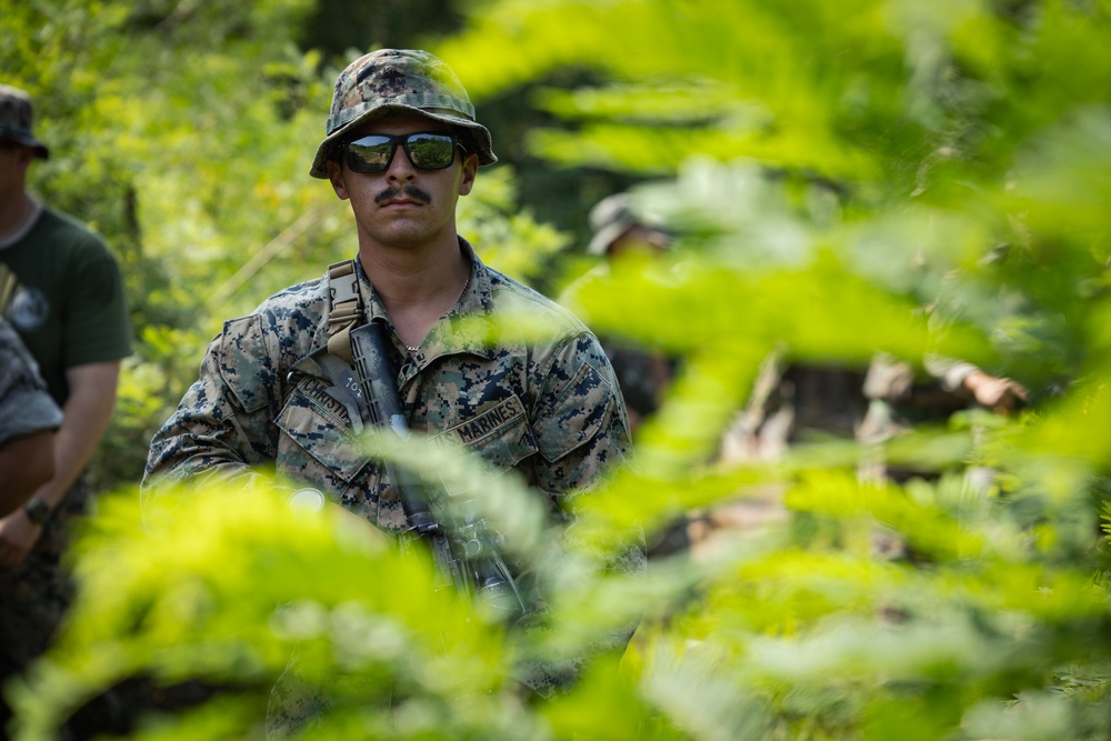 2/23 Marines and ROK Marines Conduct Reaction to Contact Drills during KMEP 25.2