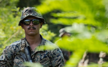 2/23 Marines and ROK Marines Conduct Reaction to Contact Drills during KMEP 25.2