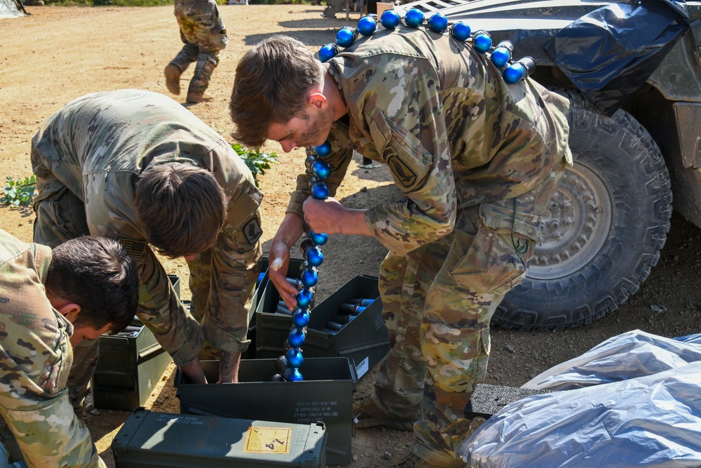 Exercise Eagle Ace 2025