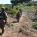 Exercise Eagle Ace 2025