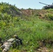 Exercise Eagle Ace 2025