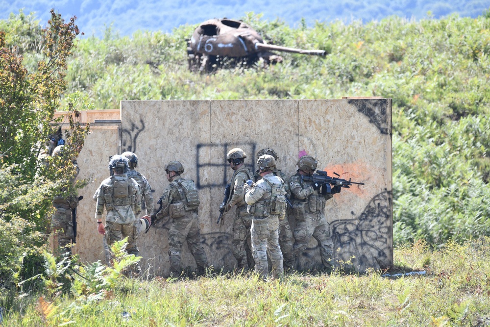 Exercise Eagle Ace 2025