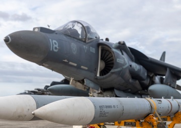 U.S. Marines with Marine Attack Squadron 223 prepare AV-8B Harriers for ordnance training