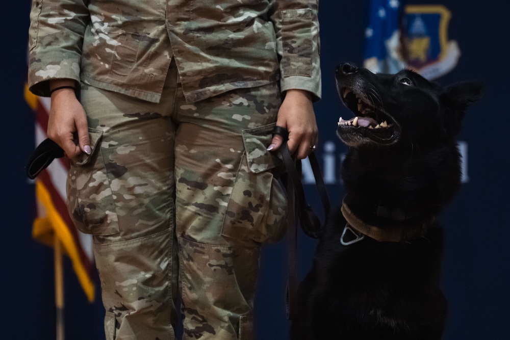 From Kennel to Couch: MWD Cchango and Nero Retire After Distinguished Service