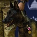From Kennel to Couch: MWD Cchango and Nero Retire After Distinguished Service