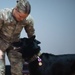 From Kennel to Couch: MWD Cchango and Nero Retire After Distinguished Service